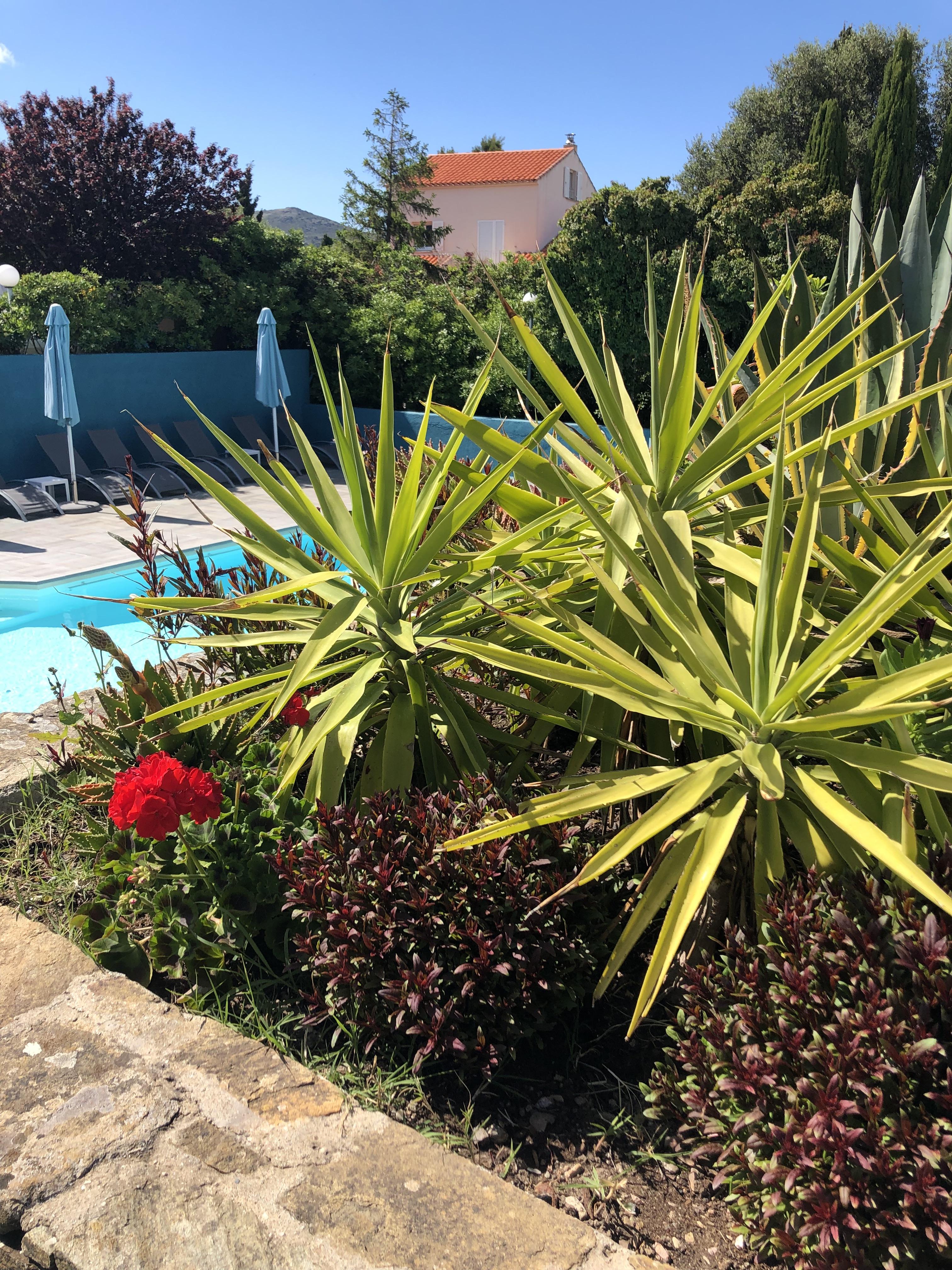 מאסינאג'יו Hotel U Ricordu & Spa מראה חיצוני תמונה